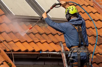 Démoussage et hydrofuge de toiture à Terrehault